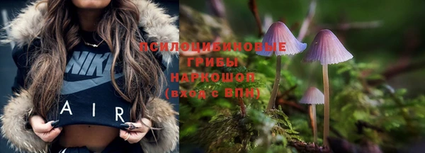 гидропоника Нязепетровск