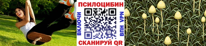 мориарти как зайти  закладка  Осташков  Псилоцибиновые грибы ЛСД 